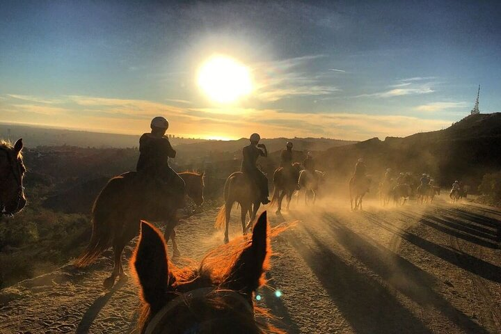 Mt. Hollywood Trail Tour on Horseback - Photo 1 of 5